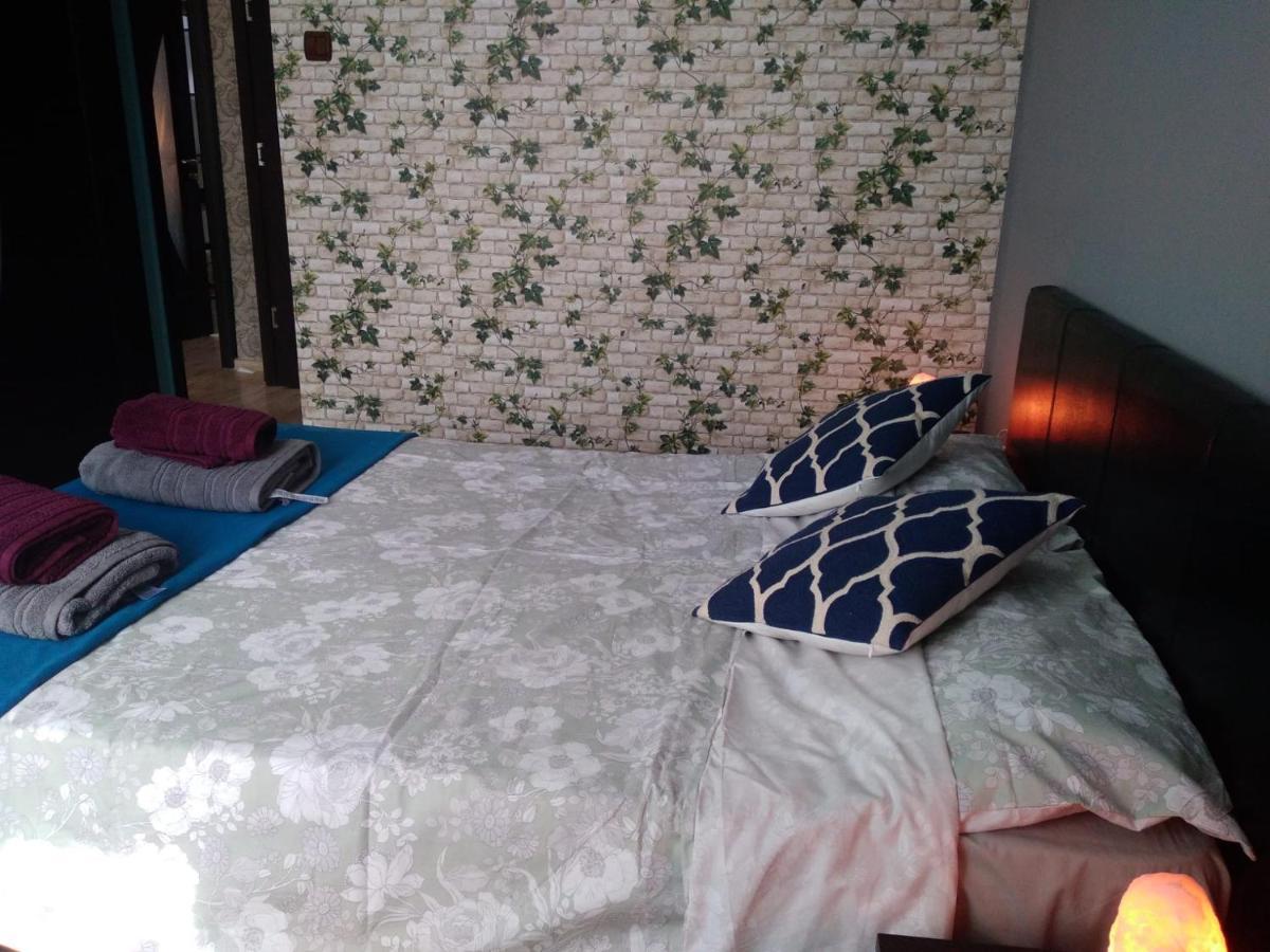 White House Guest House Hunedoara Luaran gambar